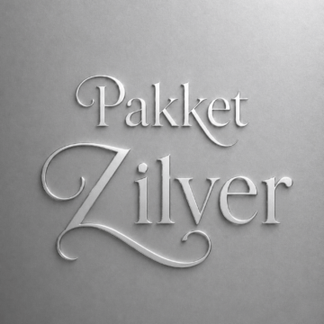 Bedrijfsfeest pakket Zilver
