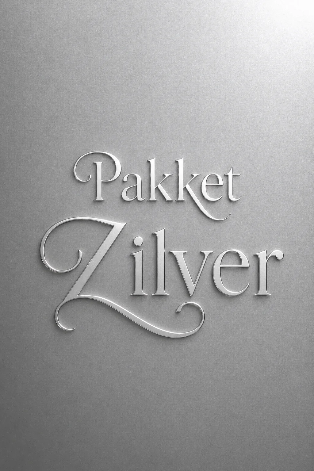 Decoratie pakket Zilver